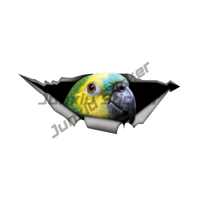 Blue Fronted Amazon Parrot Car - огляд і ціна Car Accessories Amazon