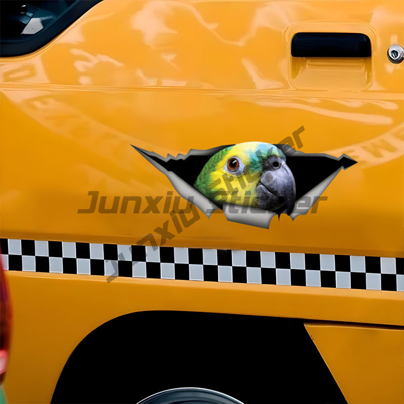 Blue Fronted Amazon Parrot Car - огляд і ціна Car Accessories Amazon