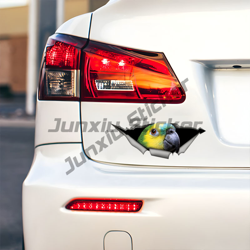 Blue Fronted Amazon Parrot Car - огляд і ціна Car Accessories Amazon