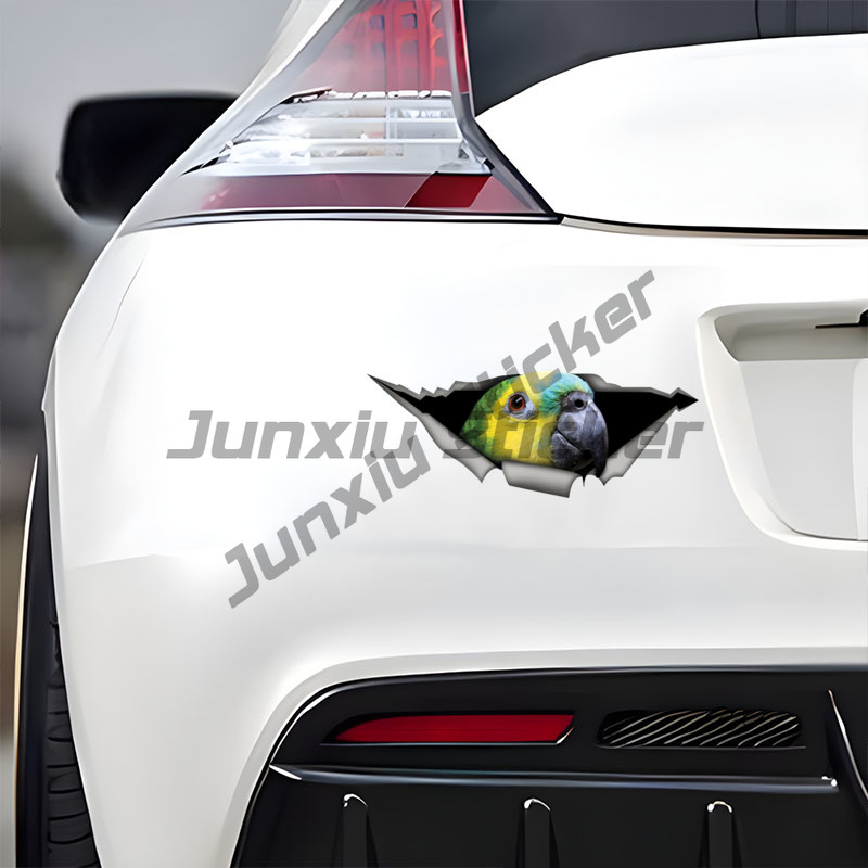 Blue Fronted Amazon Parrot Car - огляд і ціна Car Accessories Amazon
